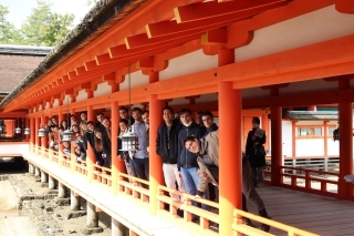 Miyajima MIRAI 2019