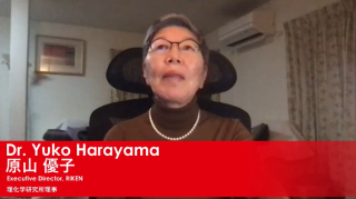 harayama