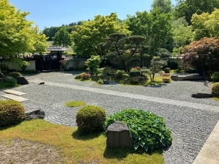 Japanischer Garten